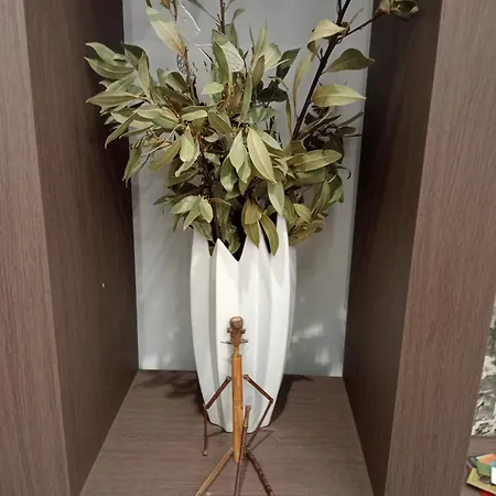 La Casa Delle Api פאטרנו