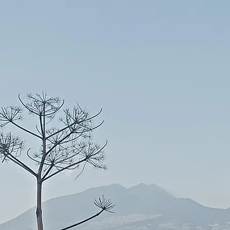 Appartamento La Casa Delle Api Paterno (Sicily)