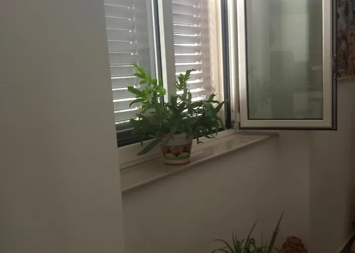 Apartment La Casa Delle Api