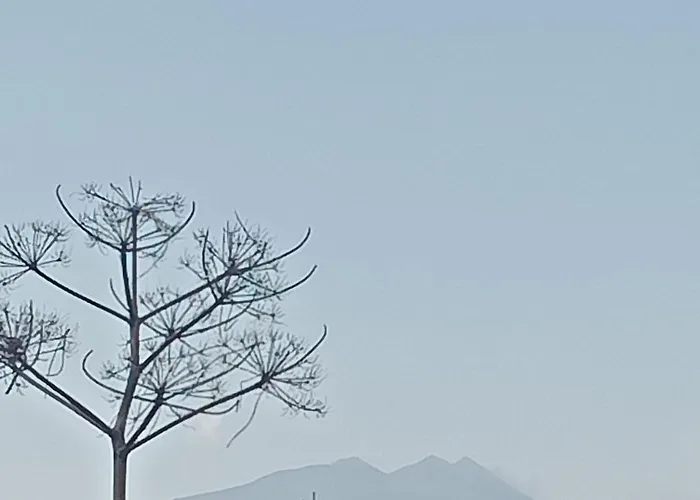 アパート La Casa Delle Api パテルノー