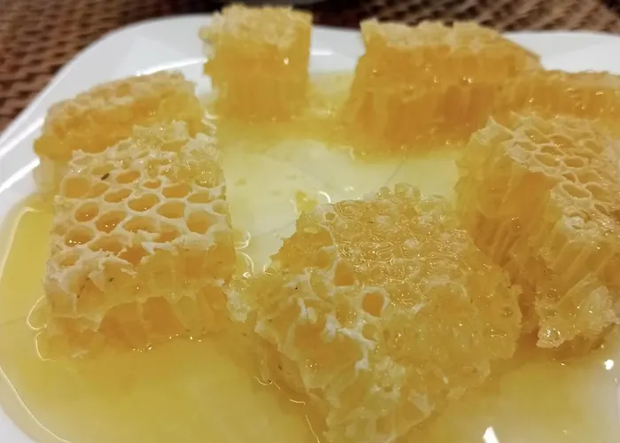 Apartment La Casa Delle Api *